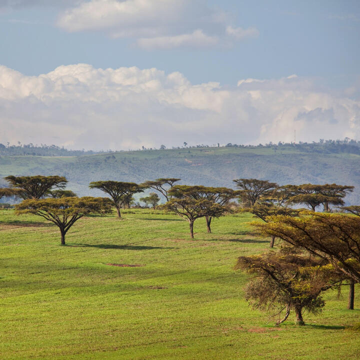 Kenya